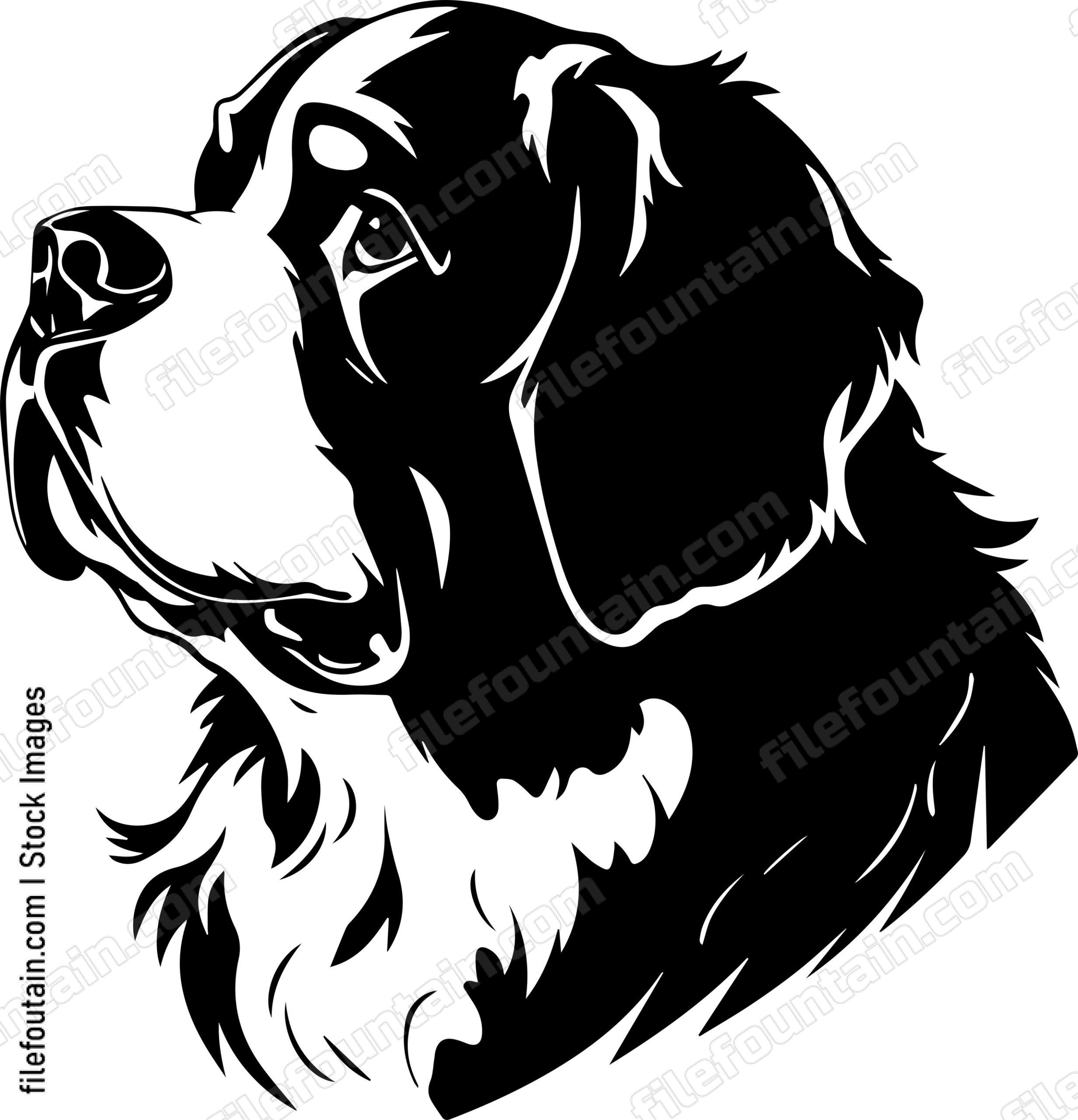 Saint Bernard