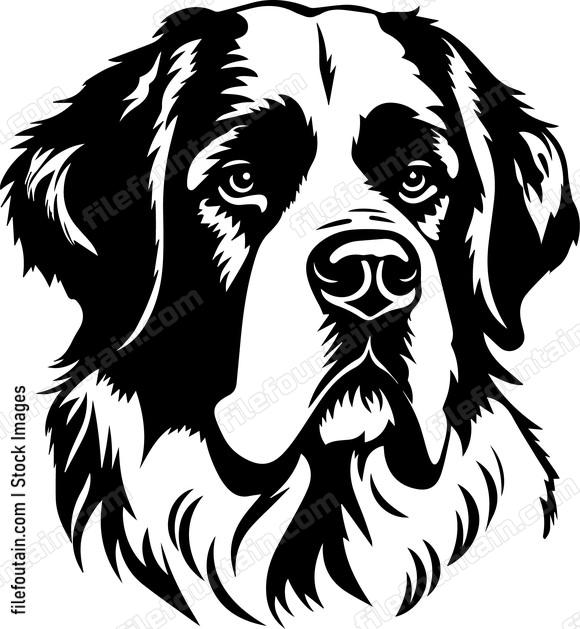 Saint Bernard