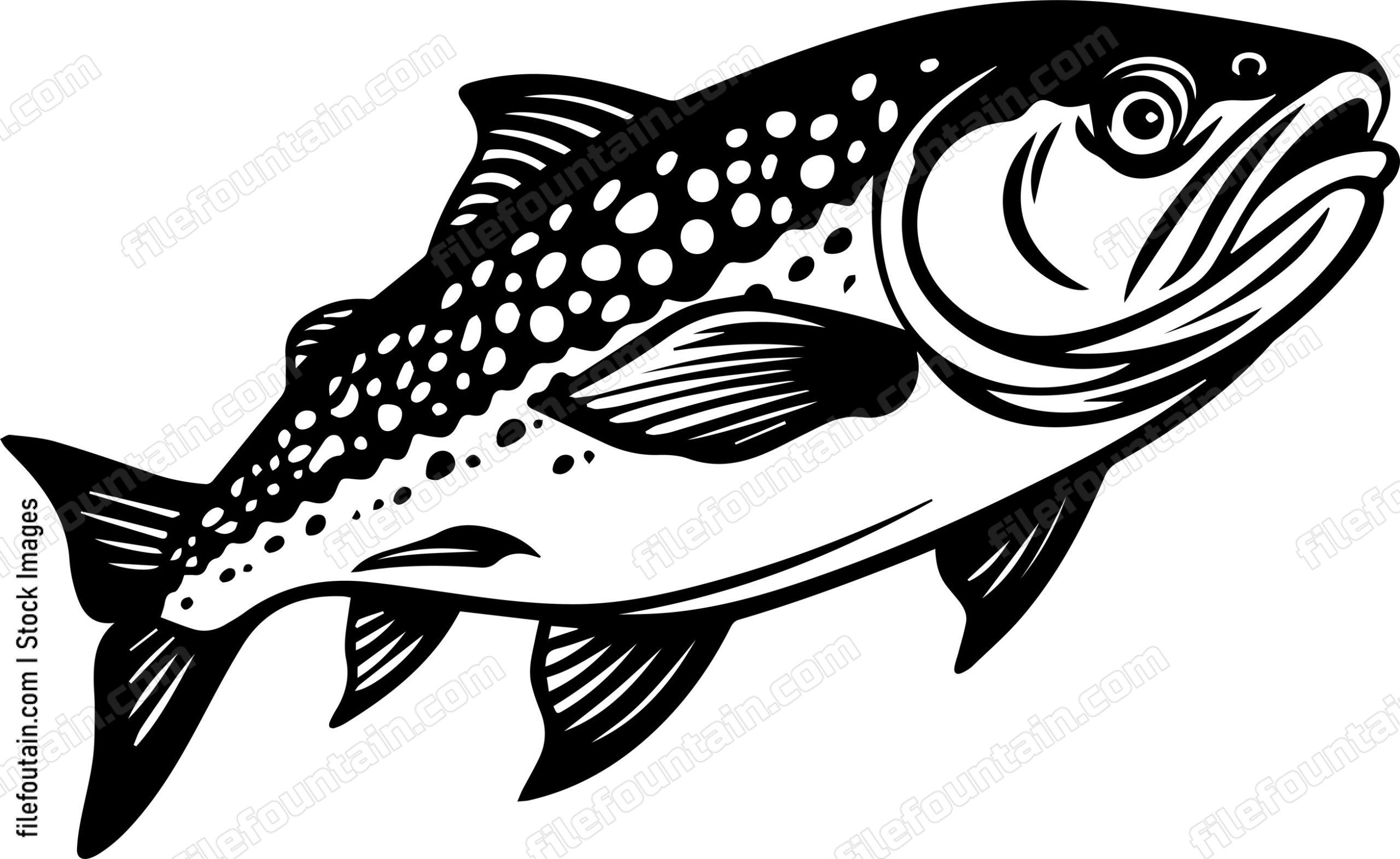 Salmon