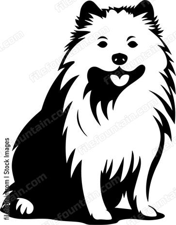 Samoyed