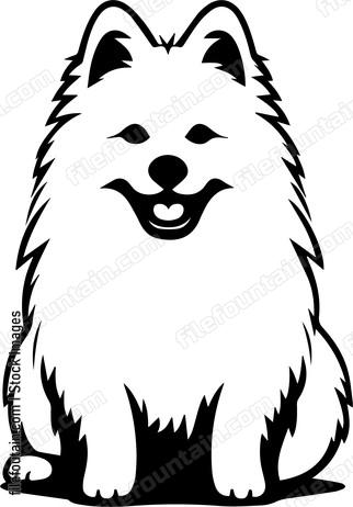 Samoyed