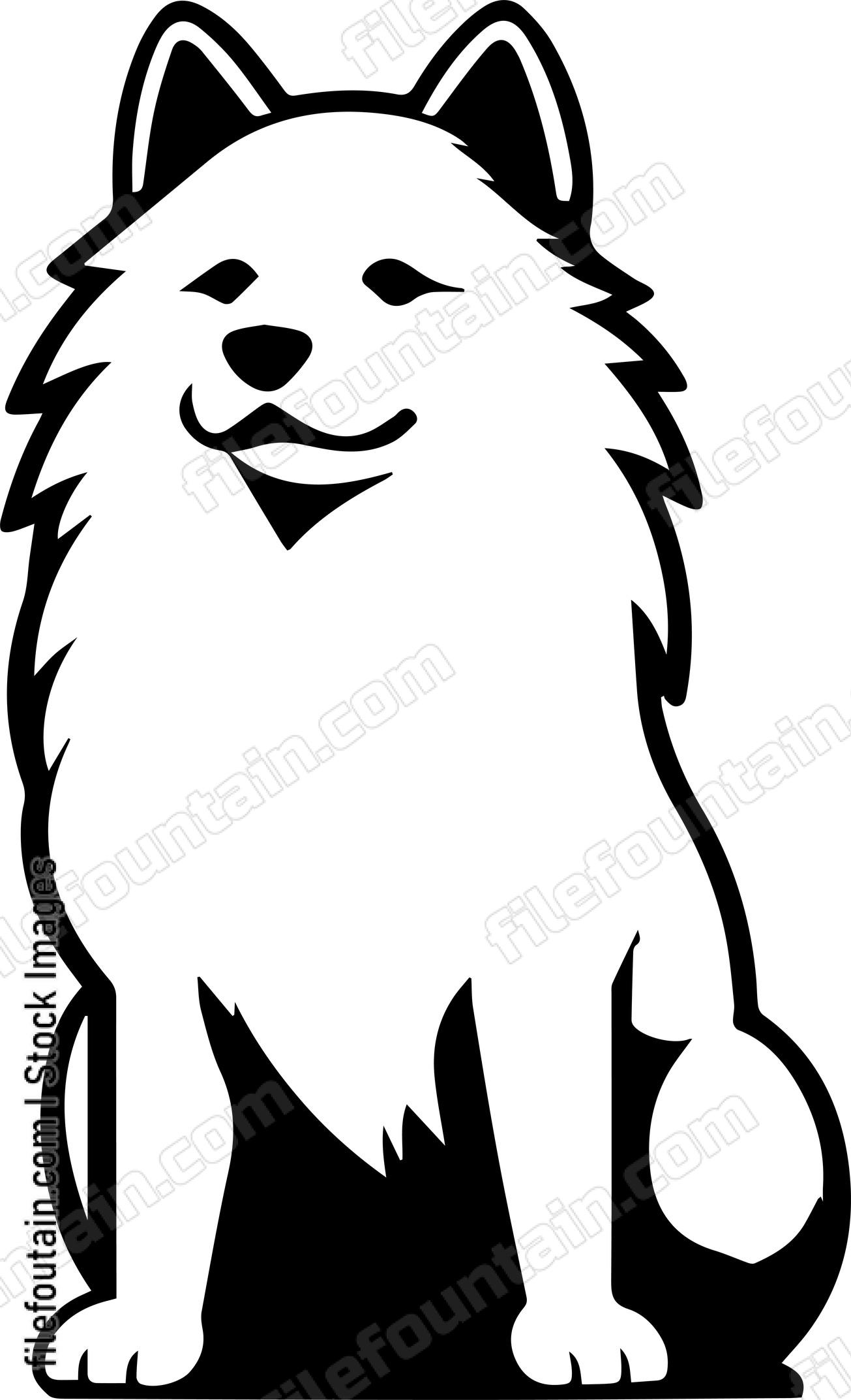 Samoyed