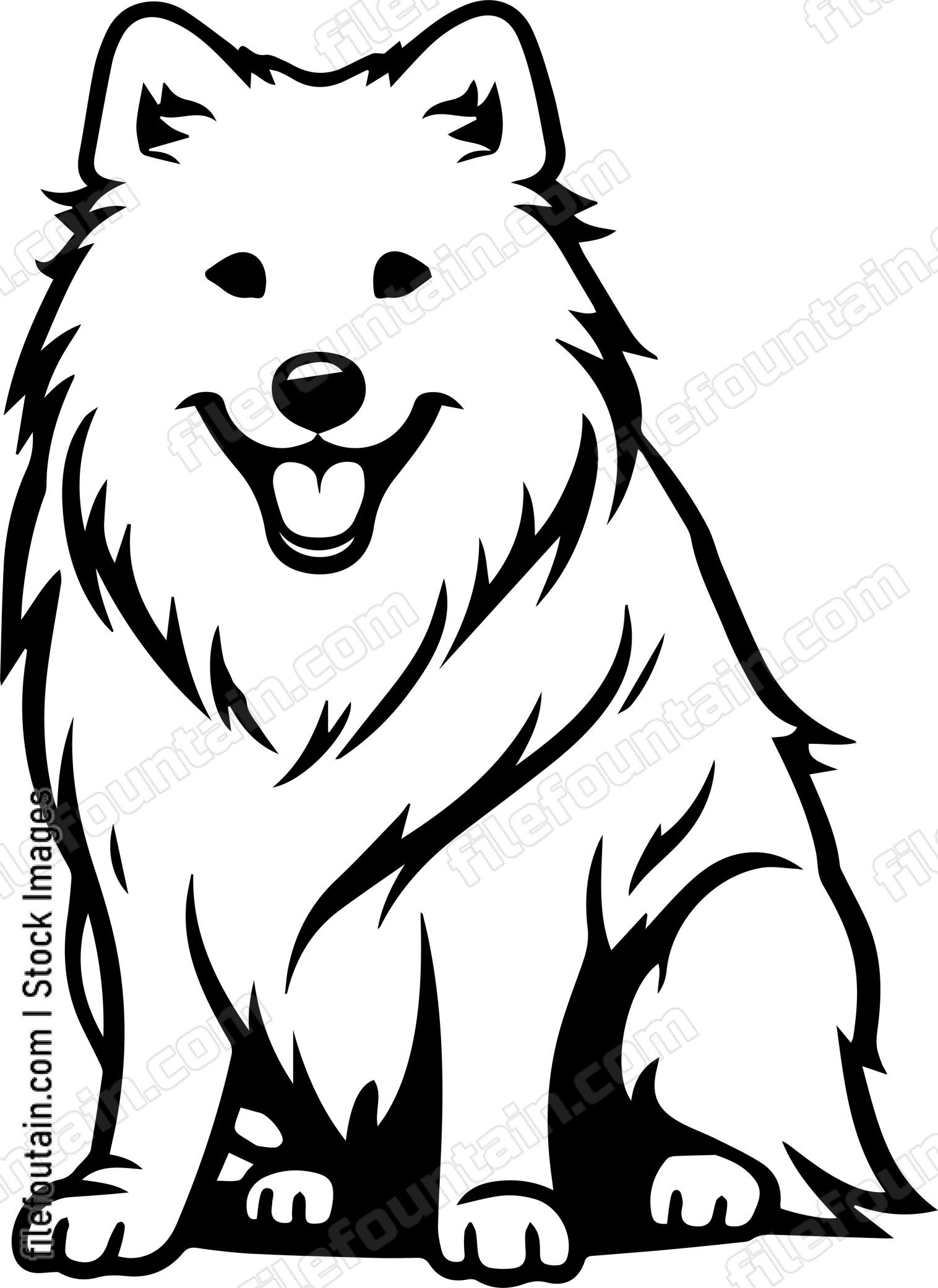 Samoyed
