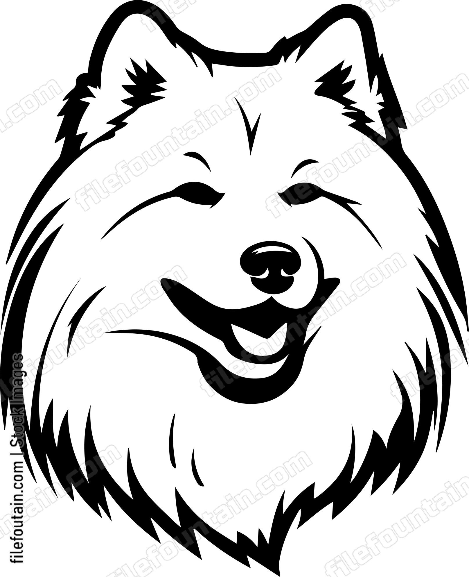 Samoyed