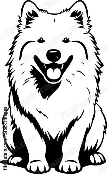 Samoyed