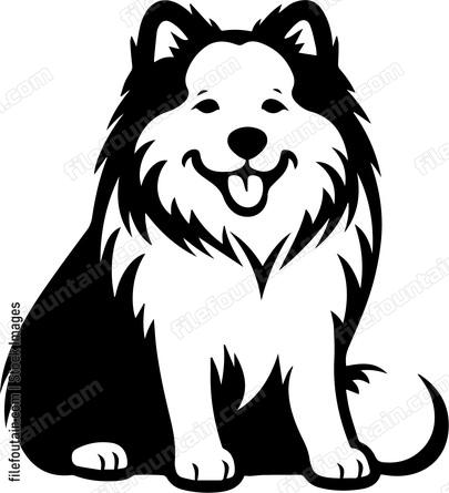 Samoyed