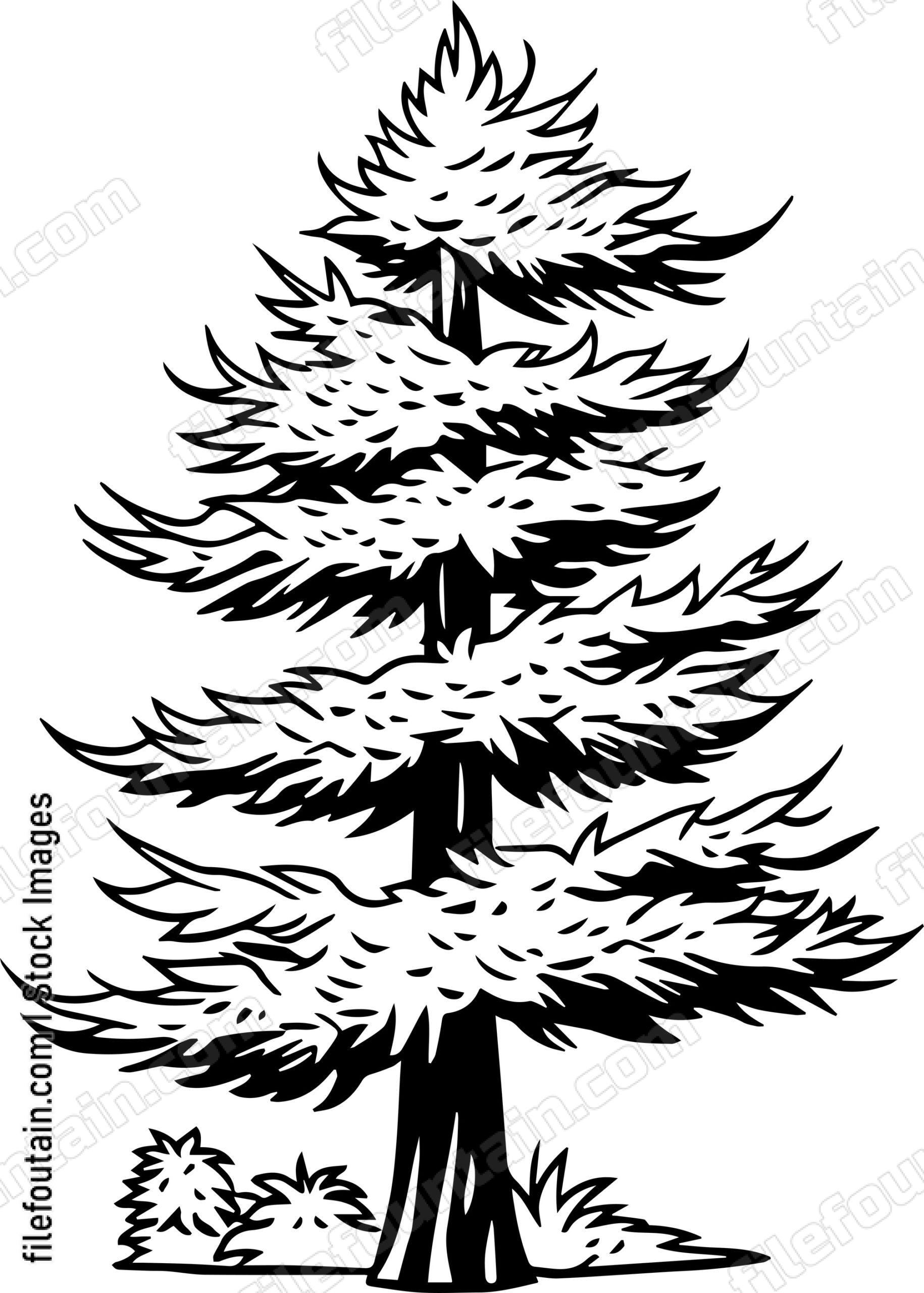 Sequoia tree