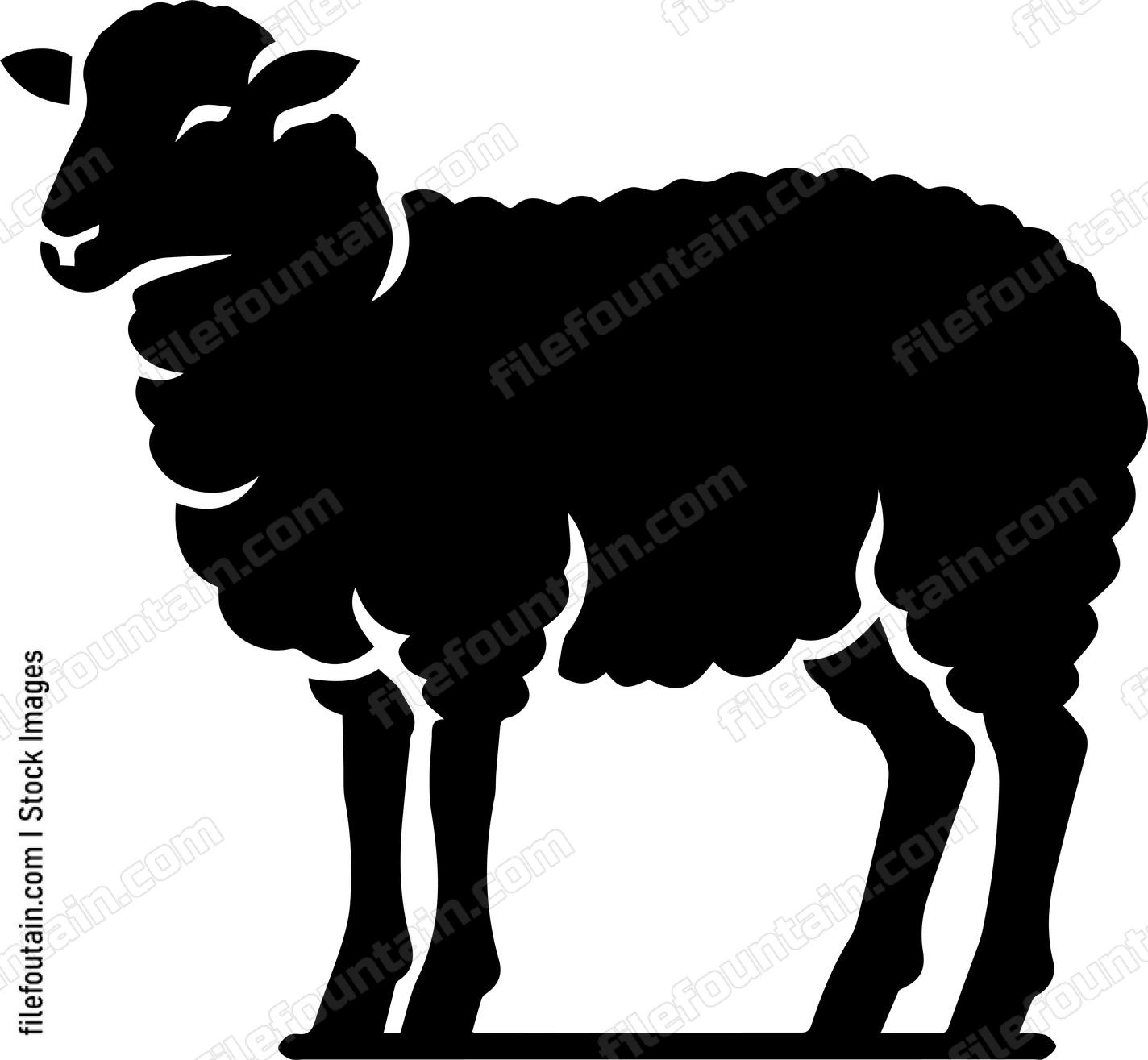 Sheep