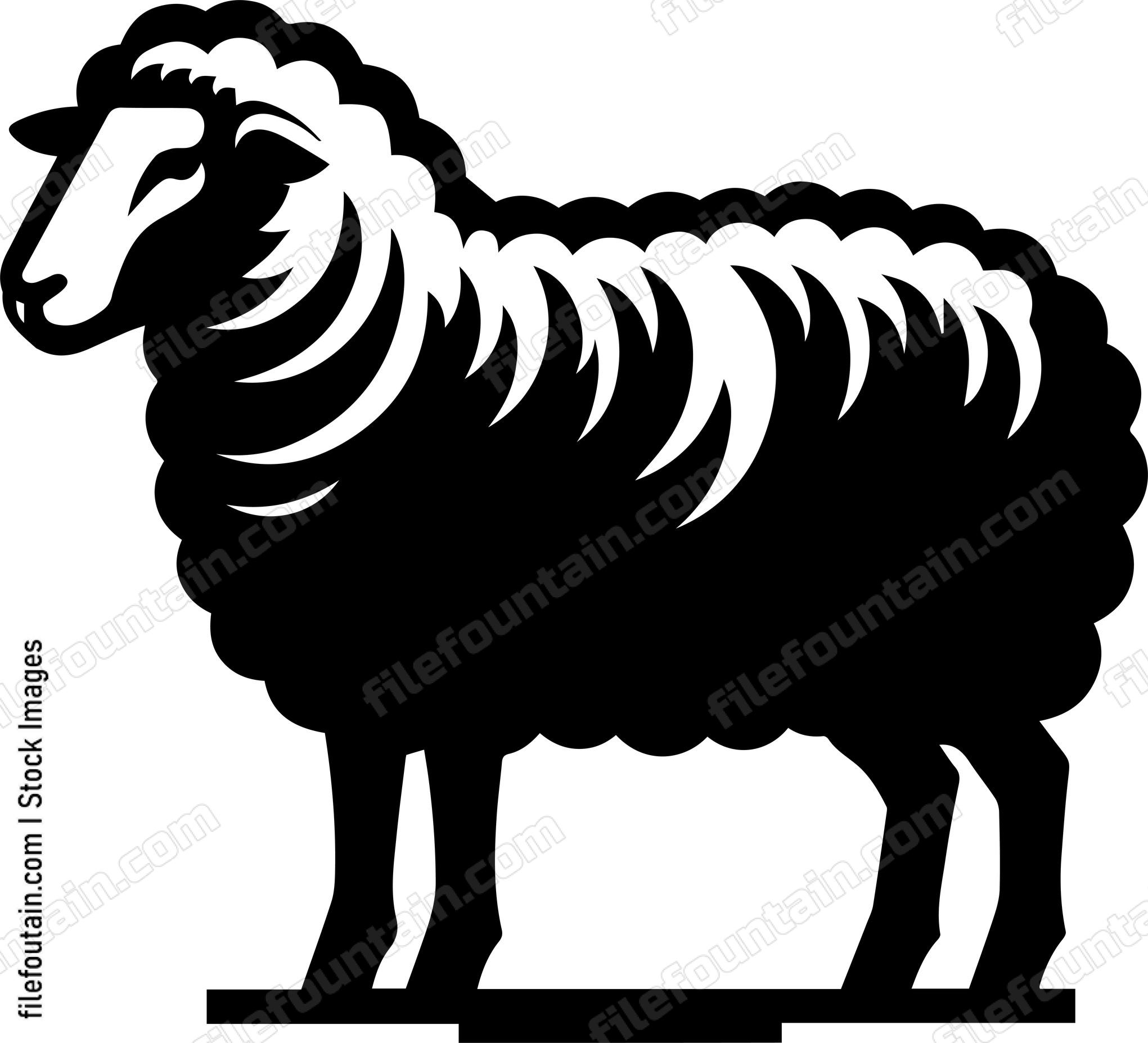 Sheep