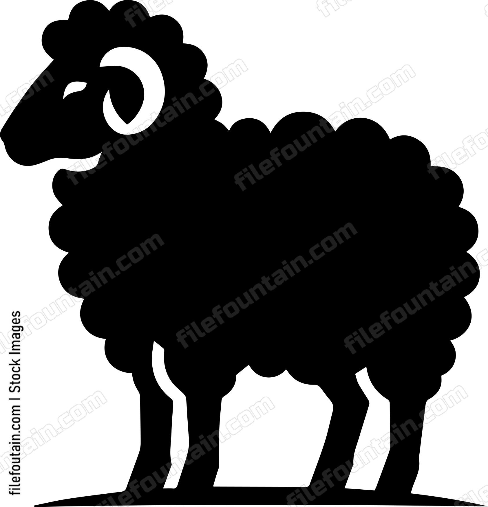 Sheep