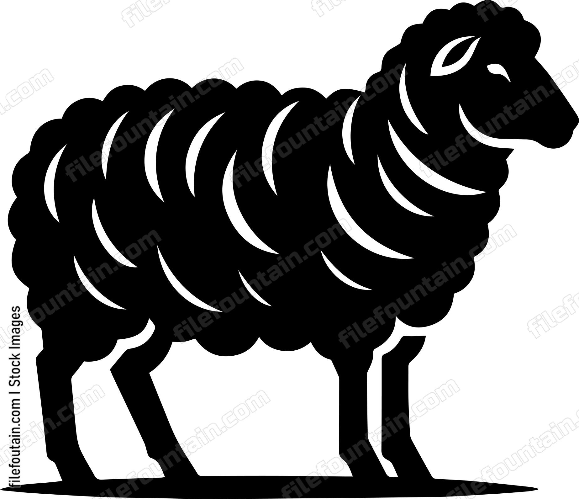 Sheep
