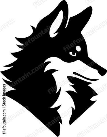 Shetland Sheepdog