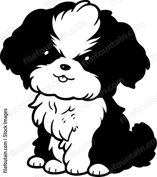 Shih Tzu