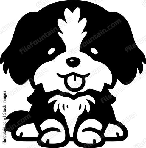 Shih Tzu