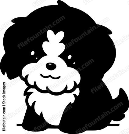 Shih Tzu