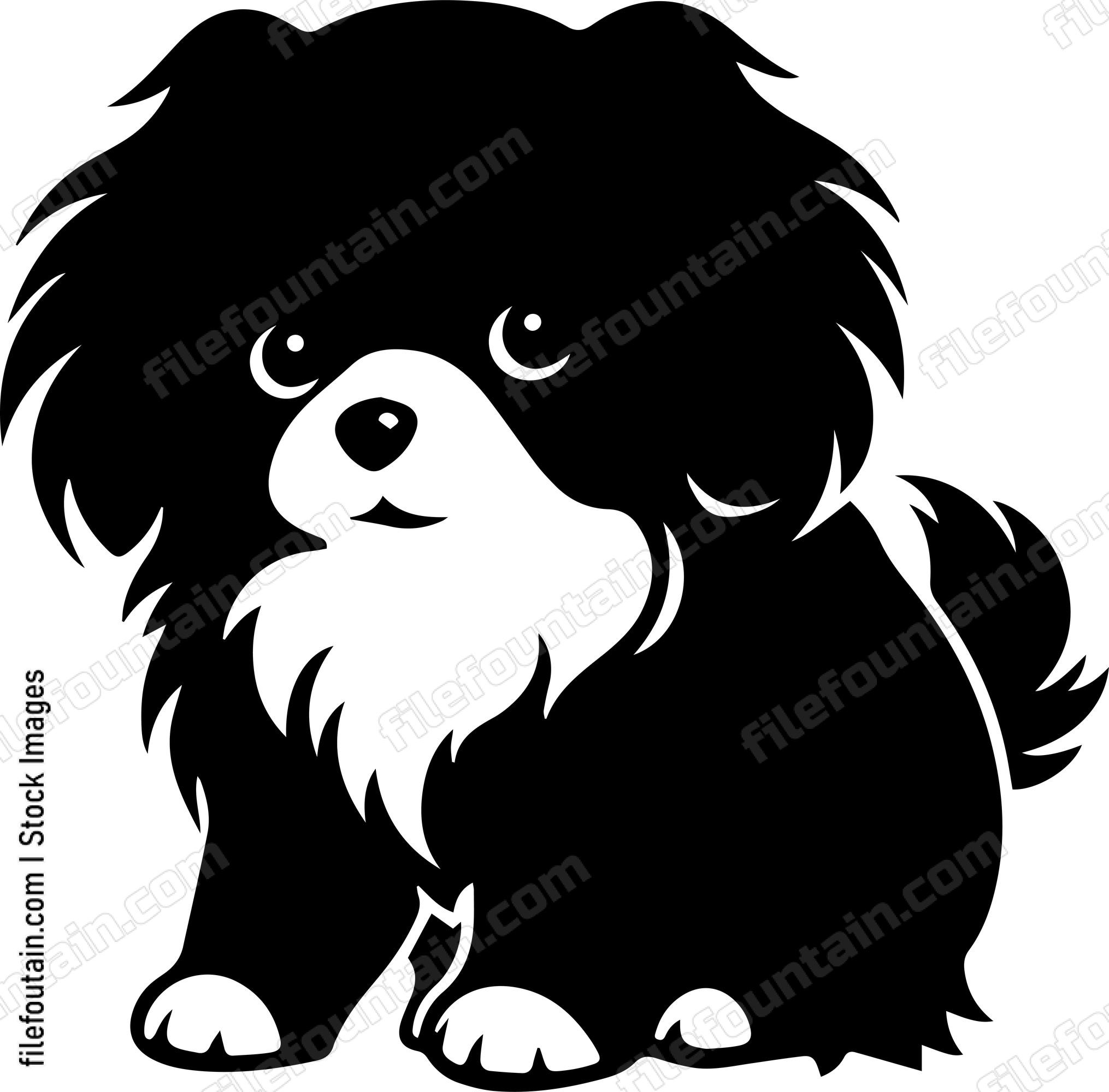Shih Tzu
