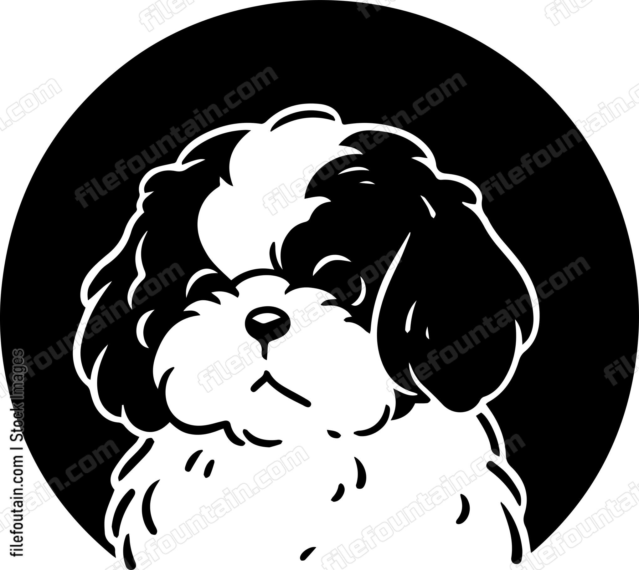 Shih Tzu