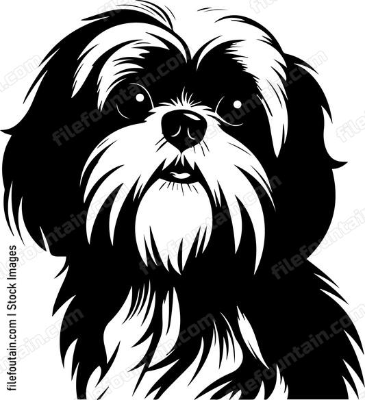 Shih Tzu