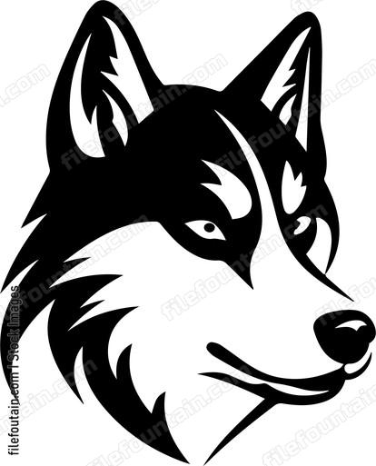 Siberian Husky
