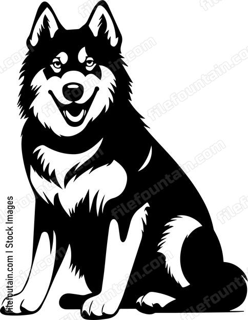 Siberian Husky