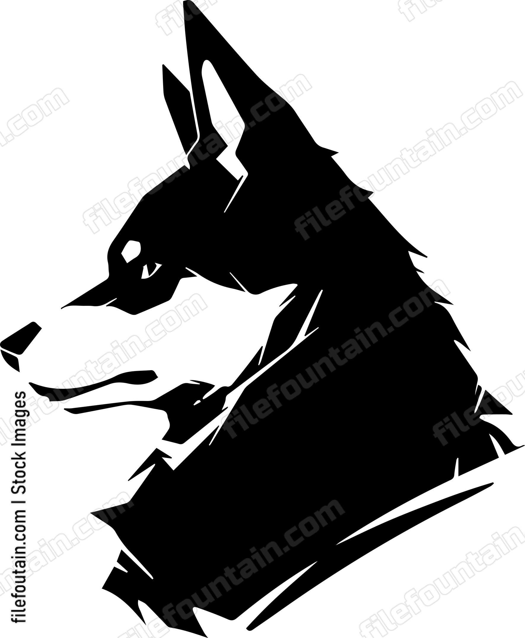 Siberian Husky