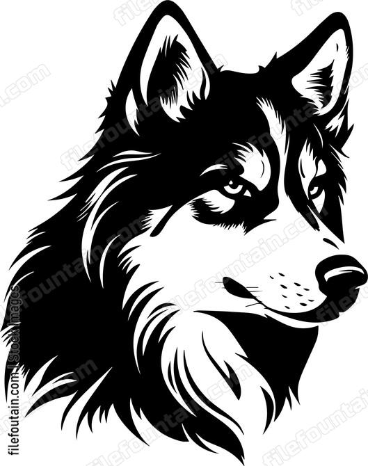 Siberian Husky