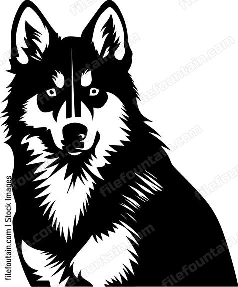 Siberian Husky