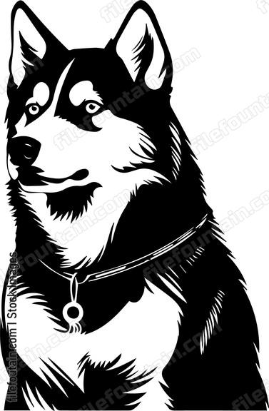 Siberian Husky