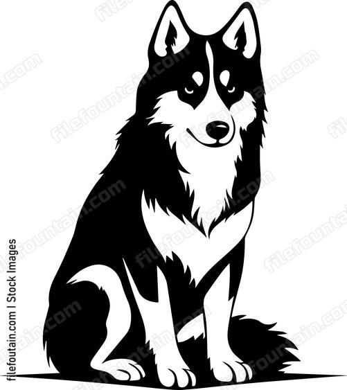 Siberian Husky