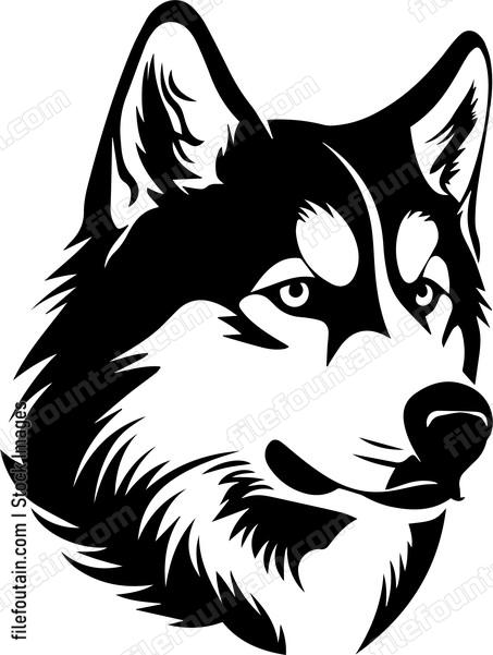 Siberian Husky
