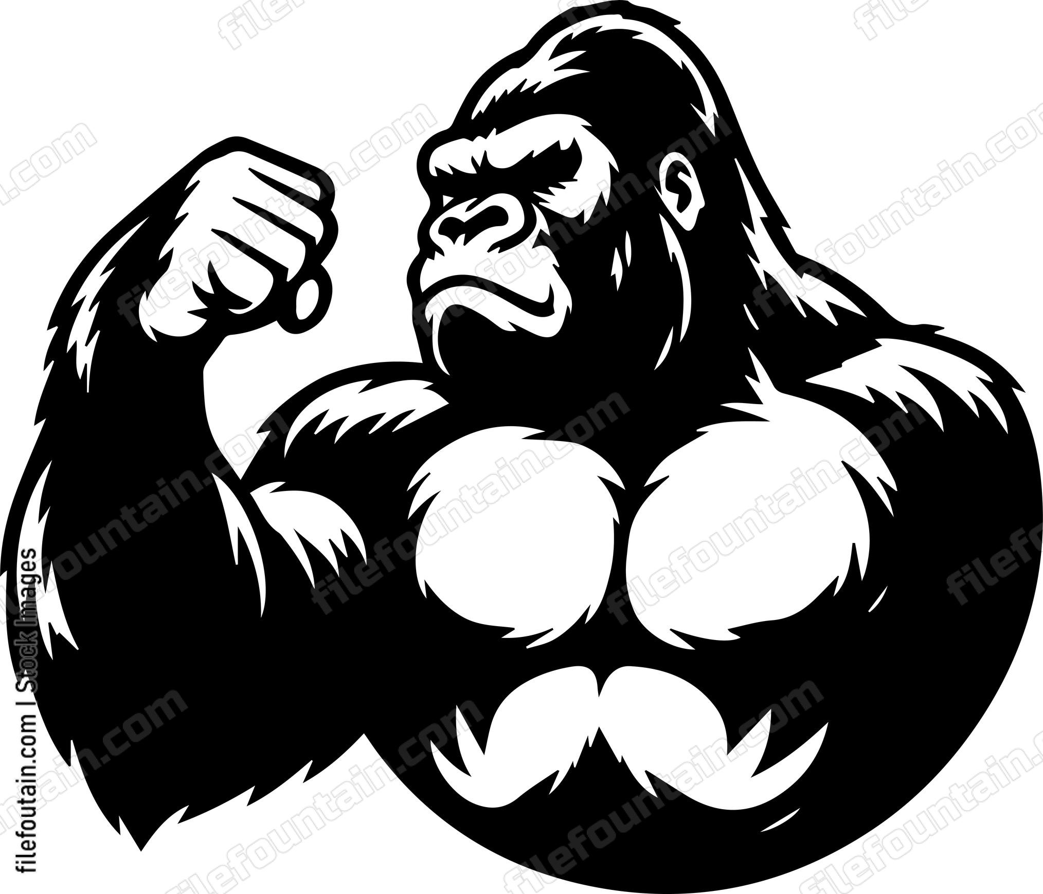 Silverback Gorilla Beating Its Chest