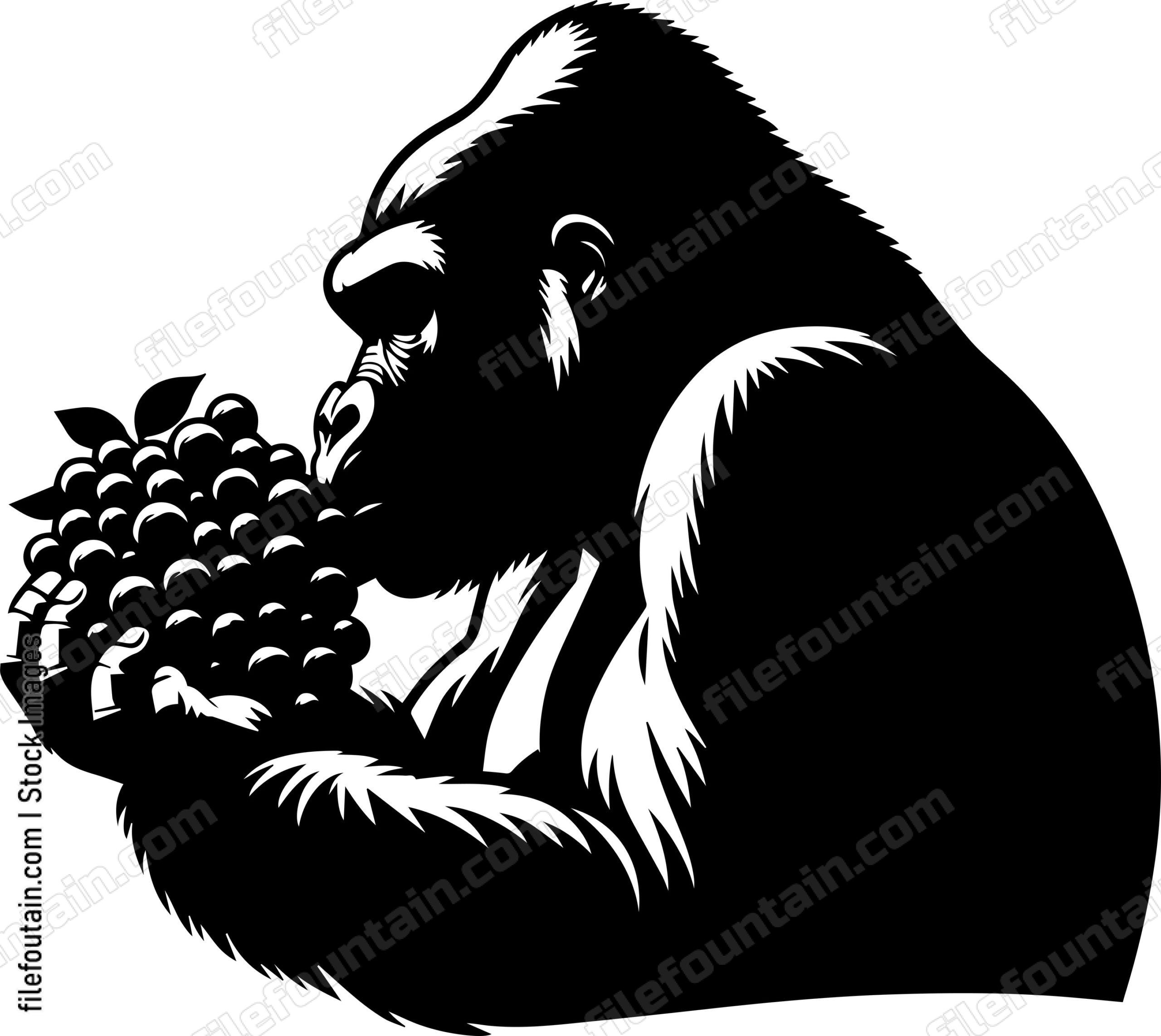 Silverback Gorilla Enjoying a Fruit Feast