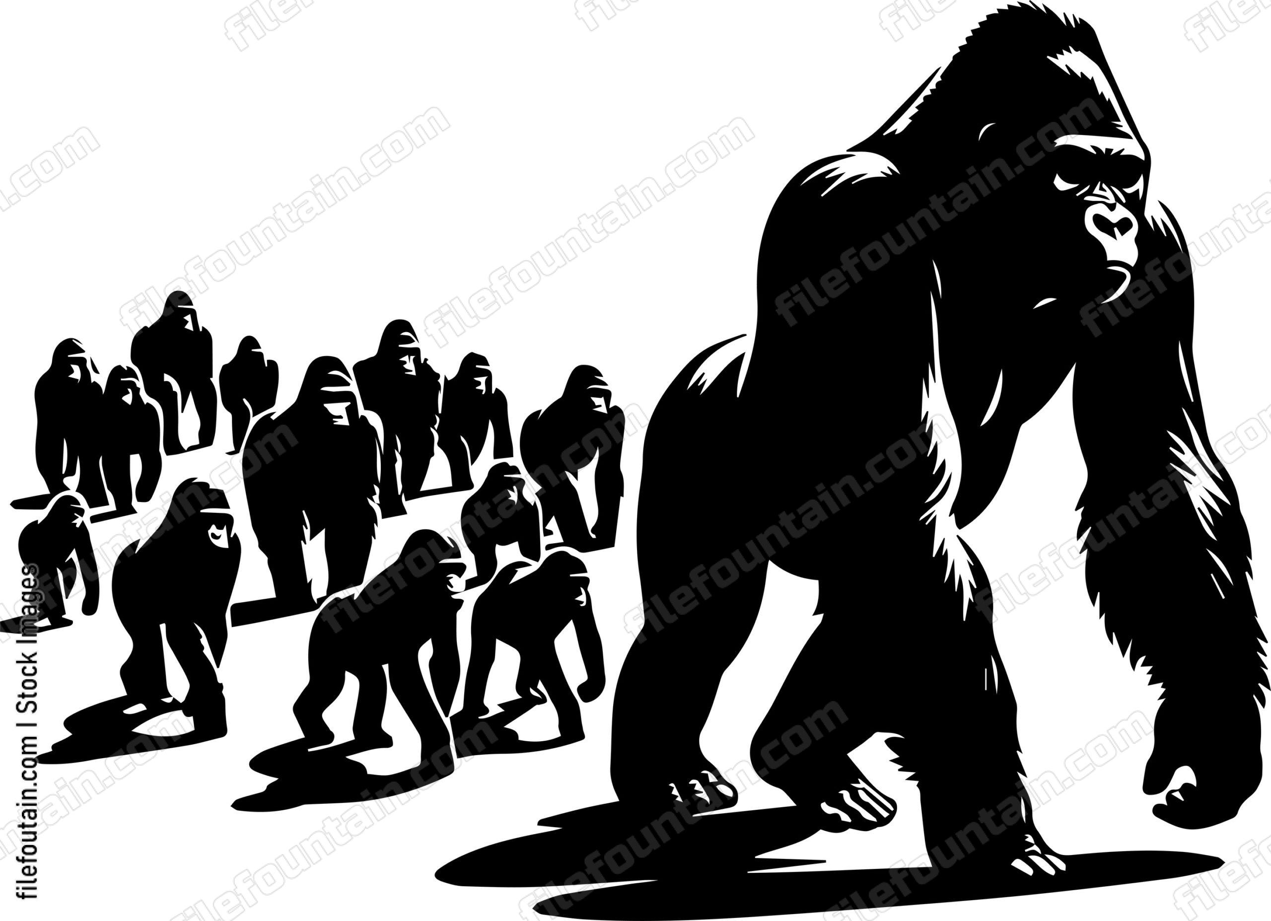Silverback Gorilla Leading Its Troop
