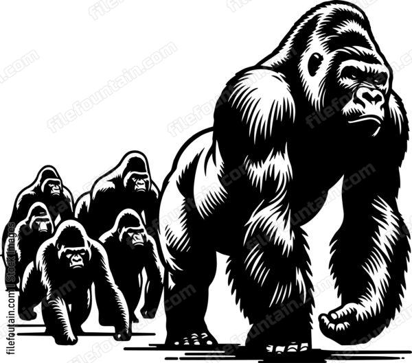 Silverback Gorilla Leading Its Troop