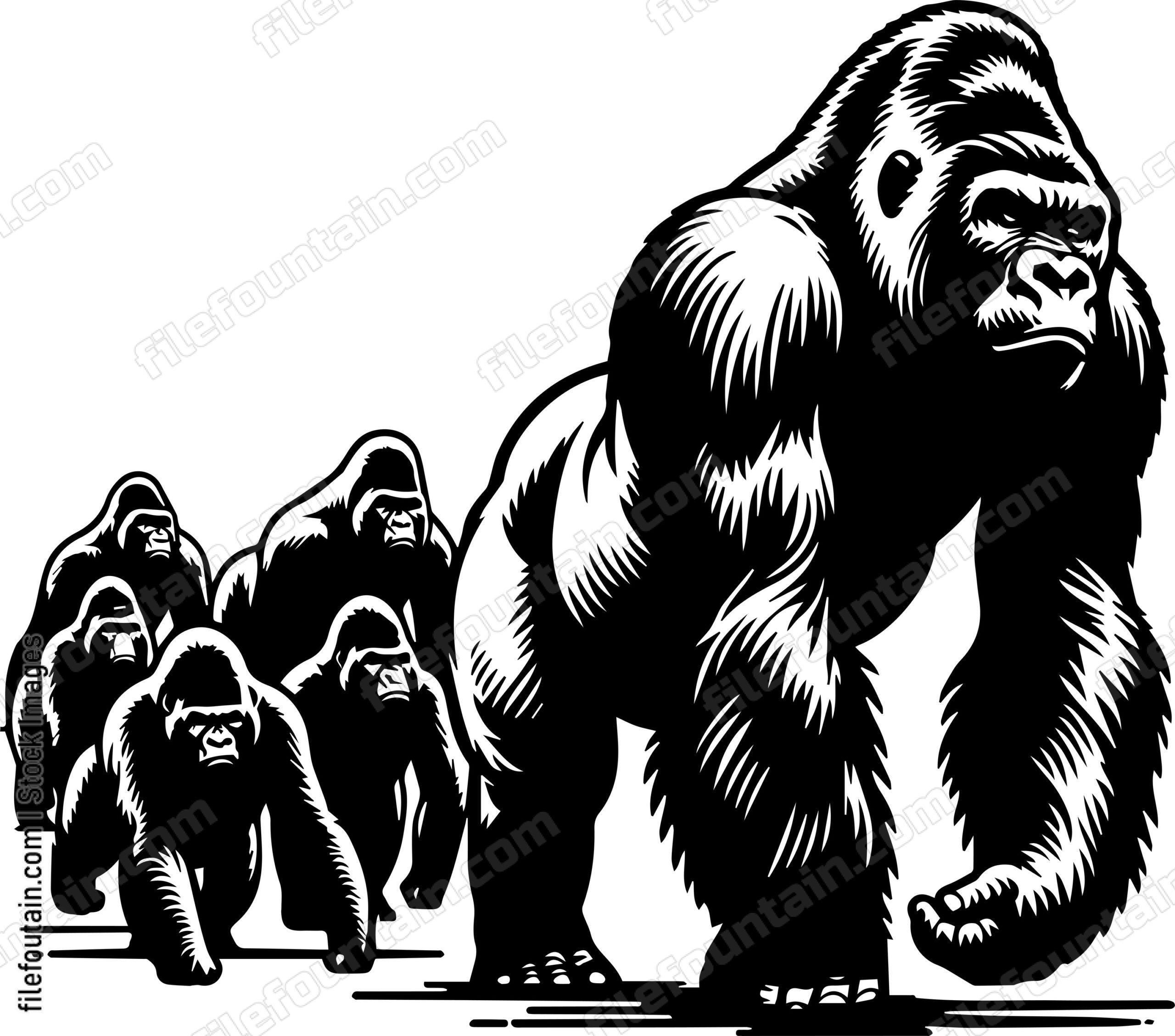 Silverback Gorilla Leading Its Troop