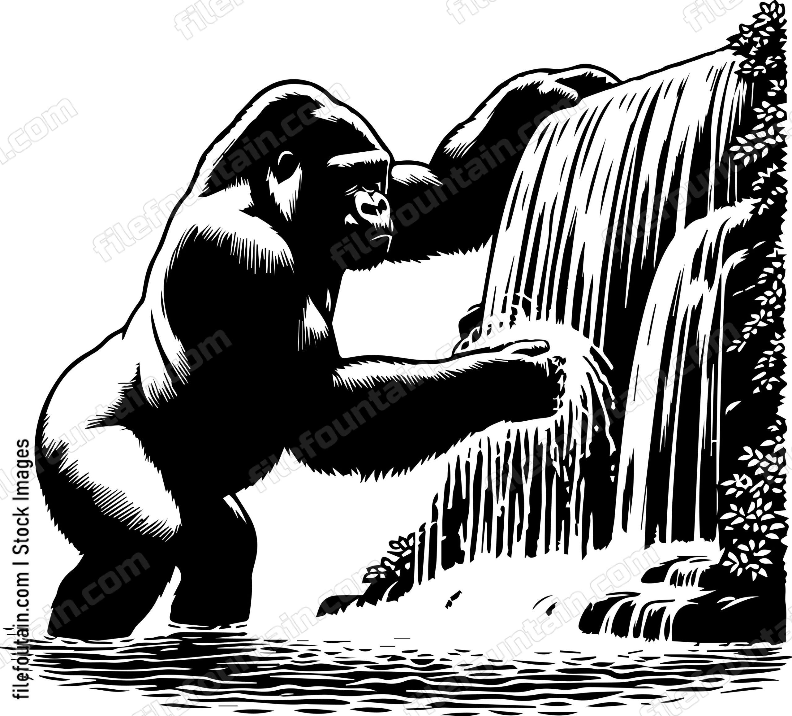 Silverback Gorilla Playing in a Waterfall