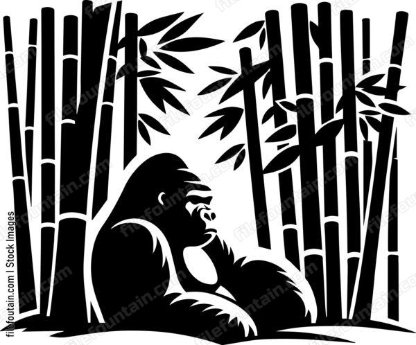 Silverback Gorilla Resting in a Bamboo Grove