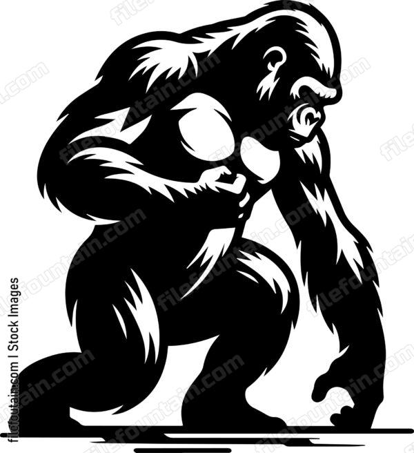 Silverback Gorilla Touching The Floor