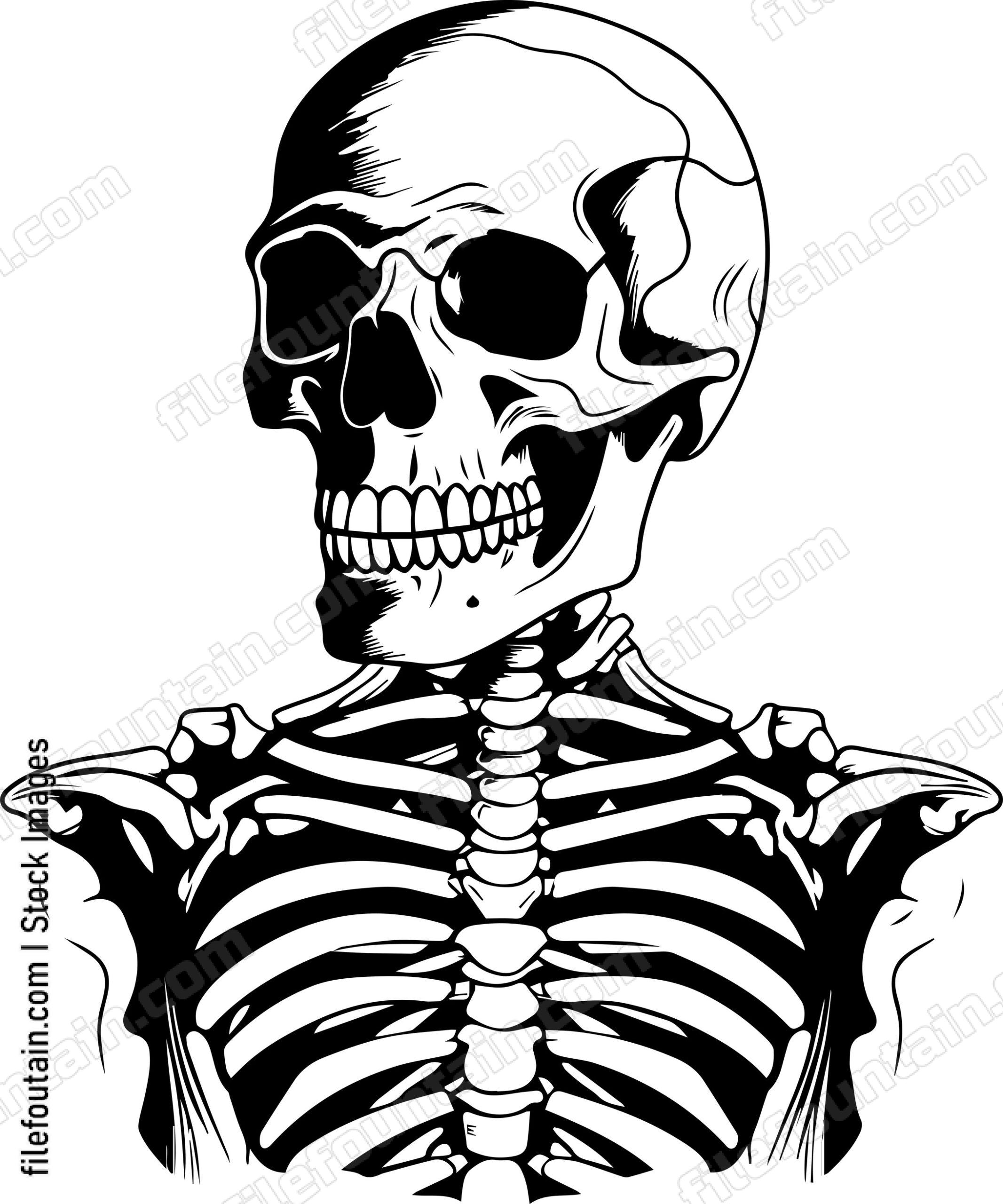 Skeleton