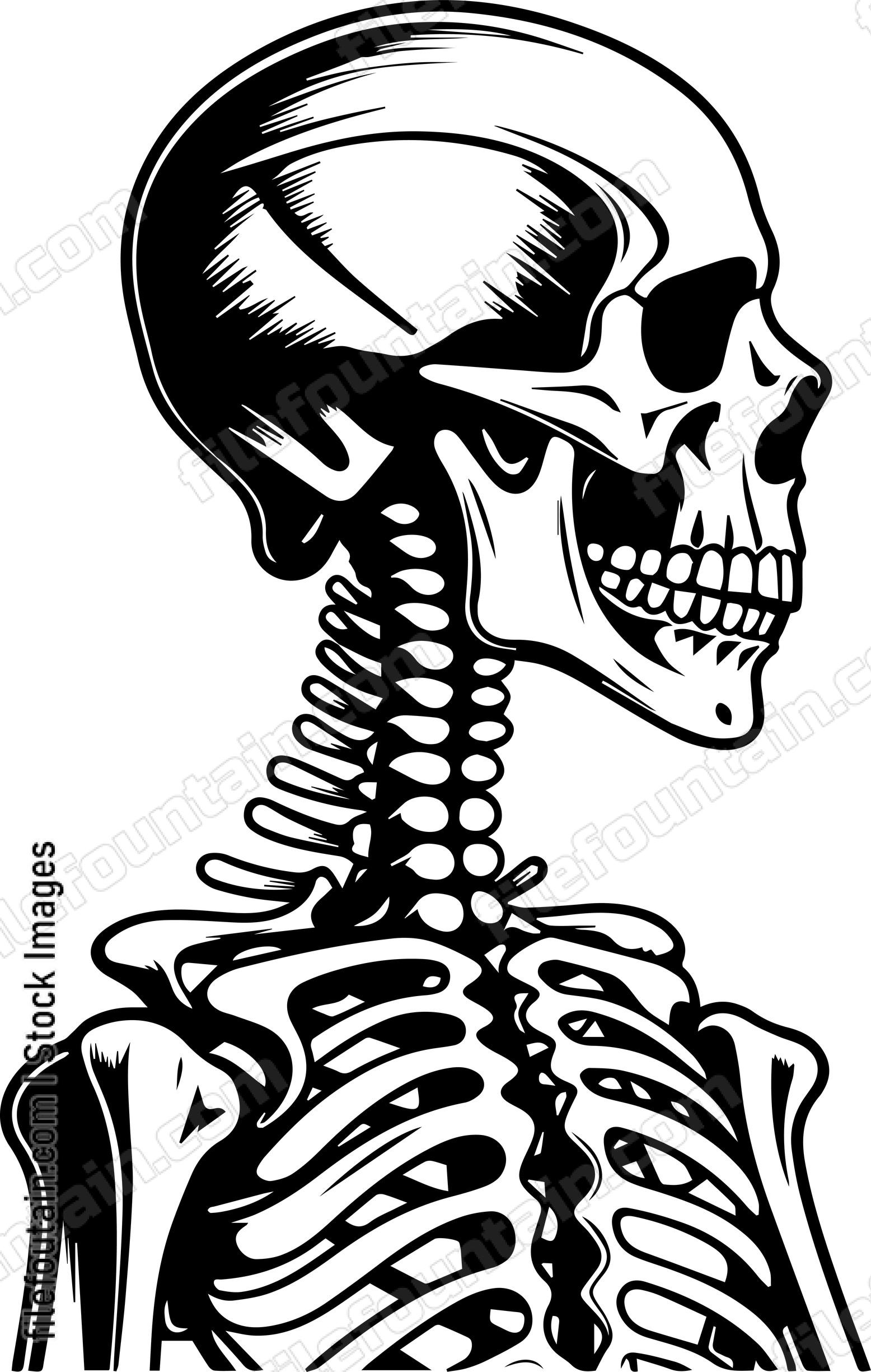 Skeleton