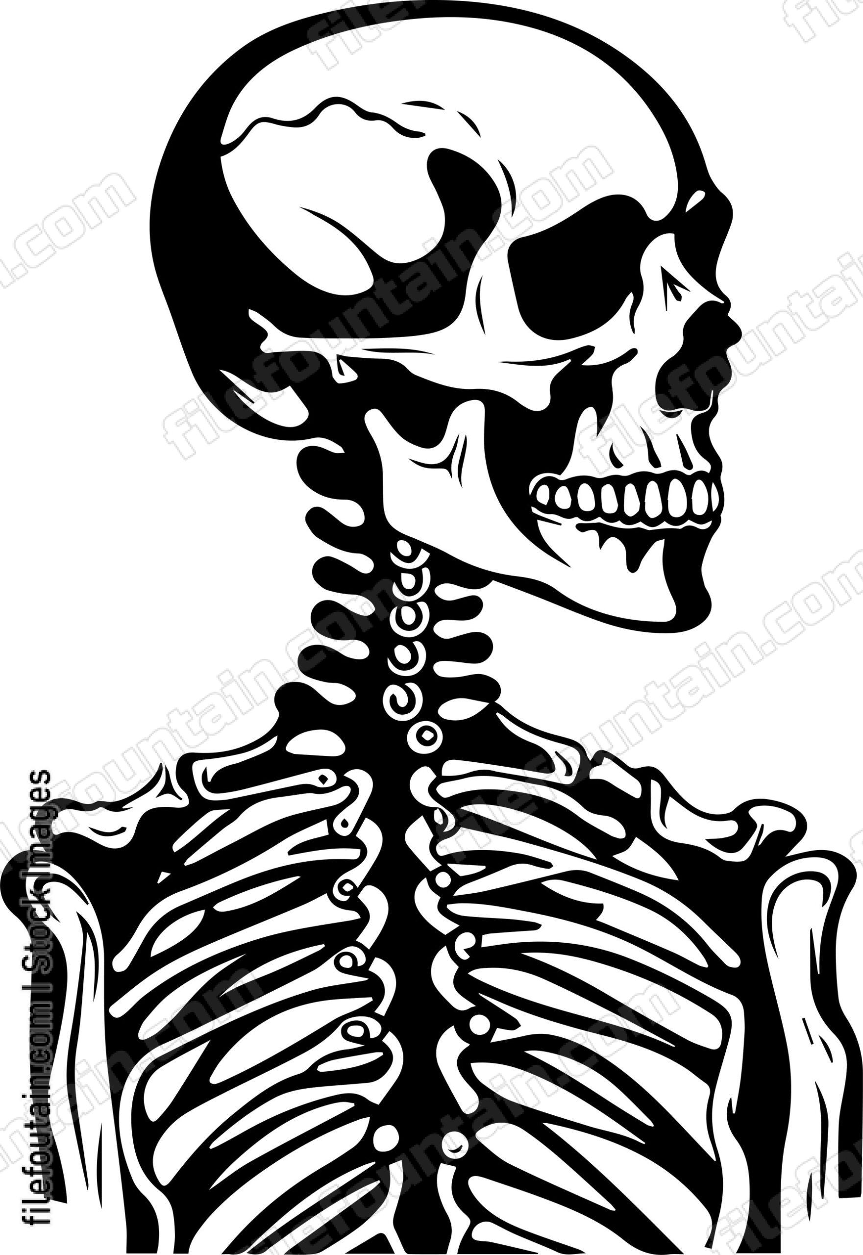 Skeleton