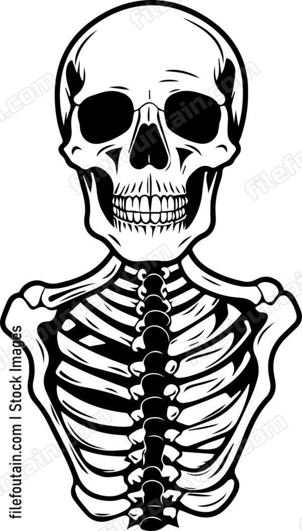 Skeleton