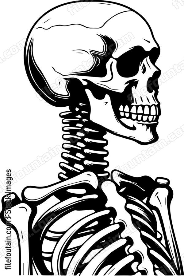 Skeleton