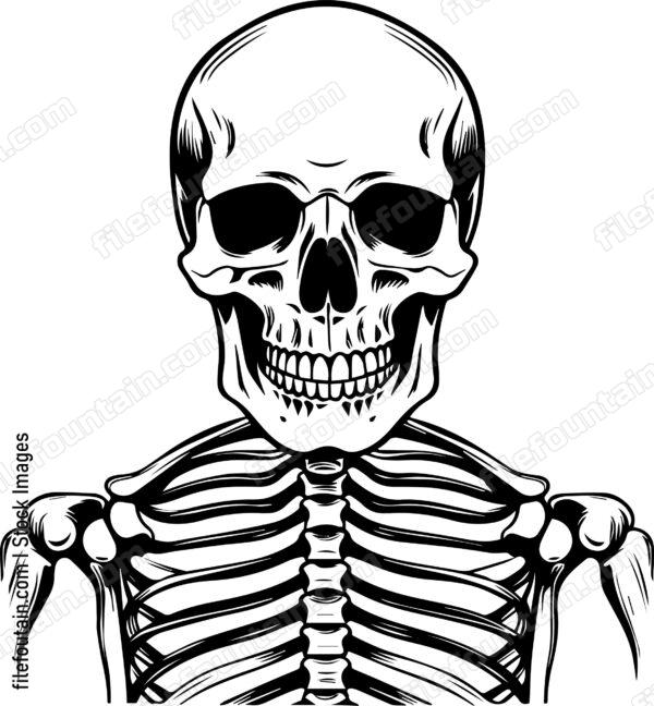 Skeleton
