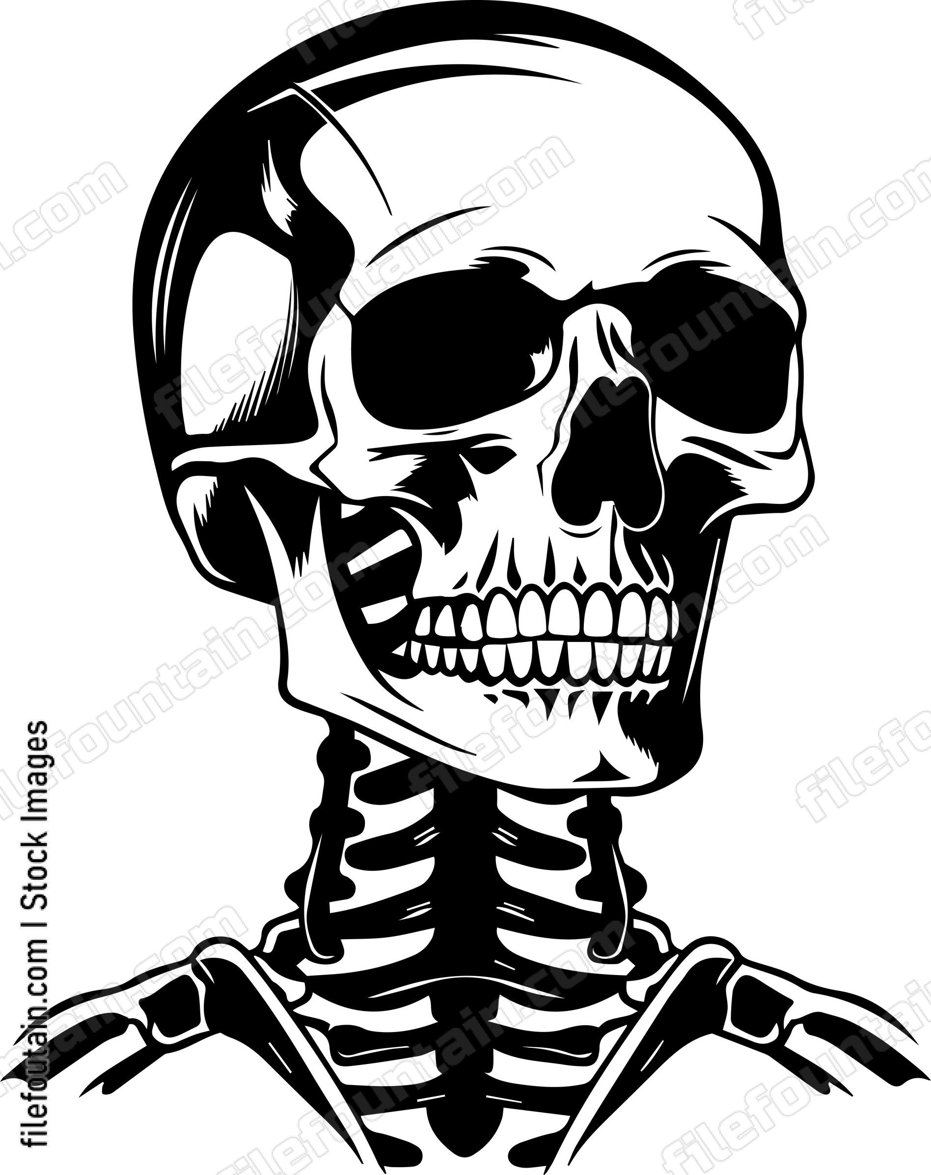 Skeleton