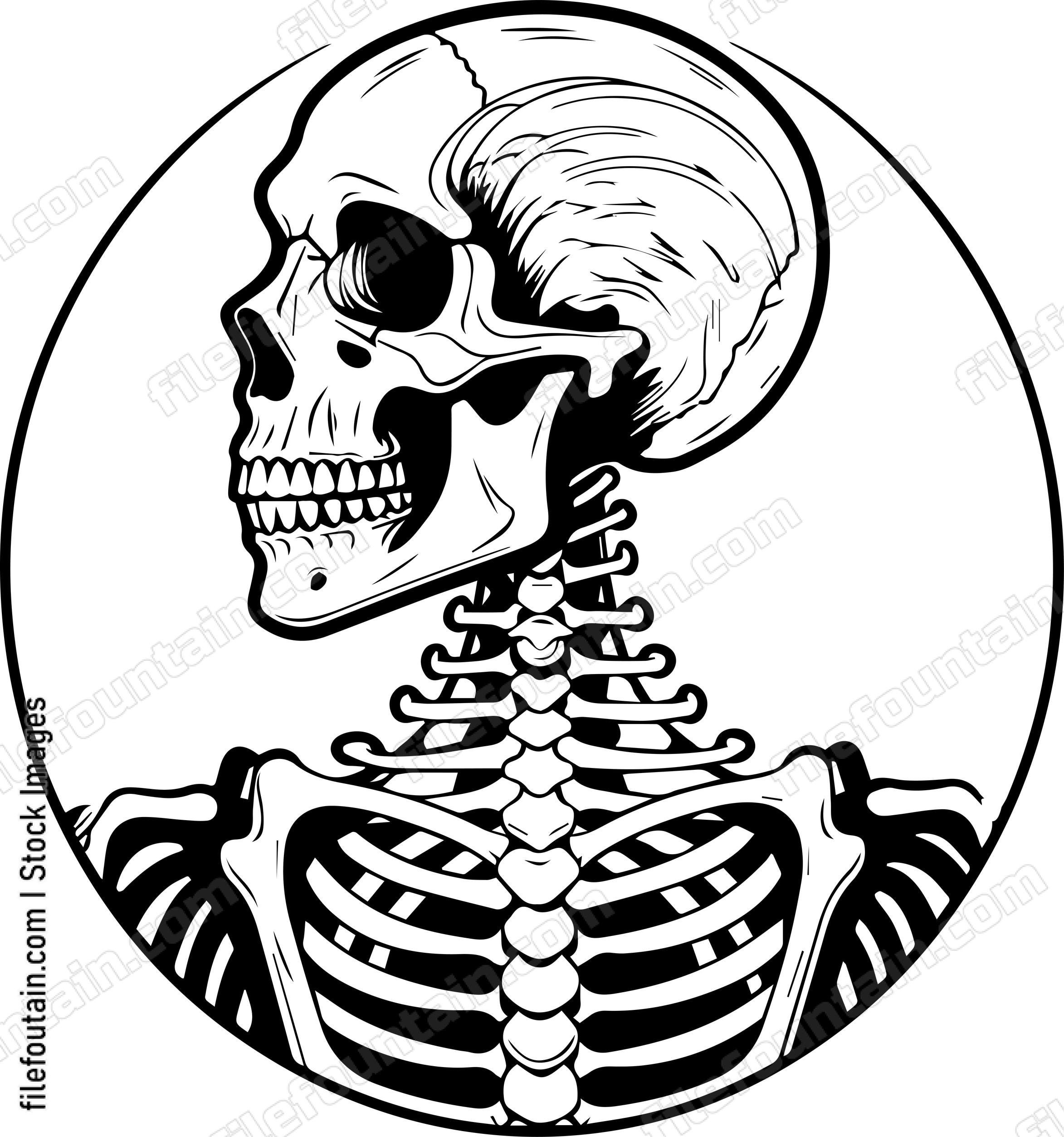 Skeleton