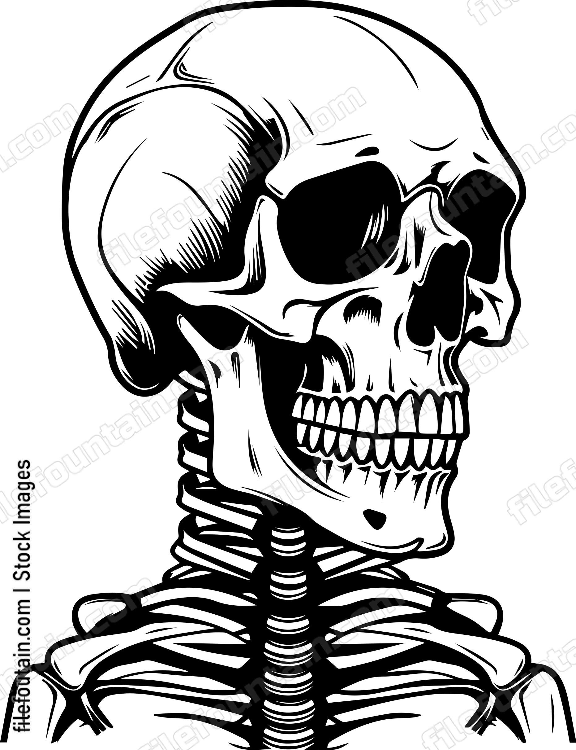 Skeleton
