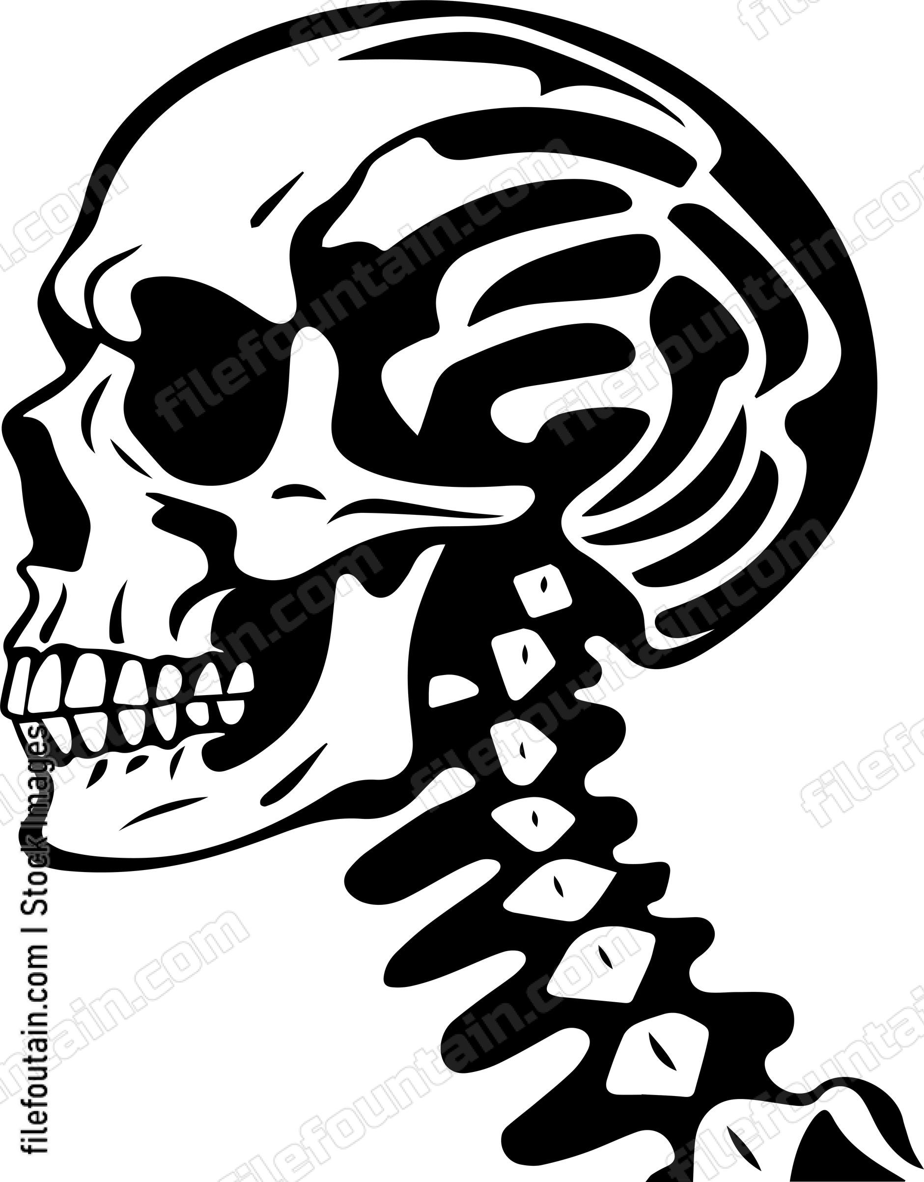 Skeleton