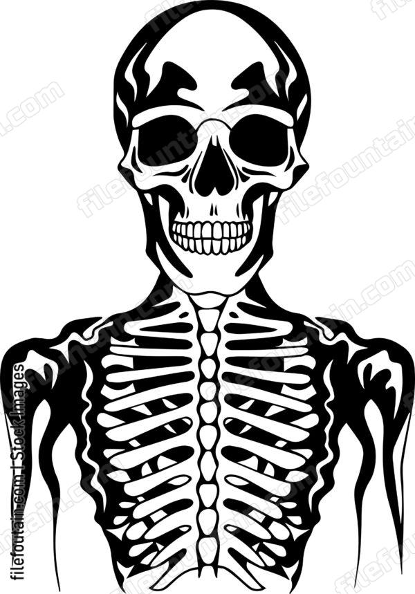 Skeleton