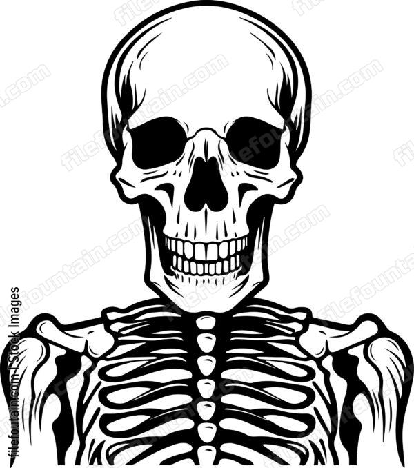 Skeleton